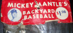 Mickey Mantle's Backyard Baseball