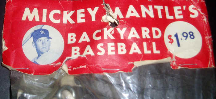 Backyard Baseball Ebay