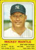 1969 Transogram Statues Baseball Card Mickey Mantle