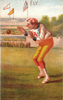 1878 Forbes Company A Fly Baseball Card