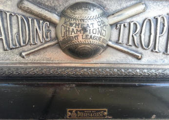 Cross Bats Engraving Baseball Spalding Trophy