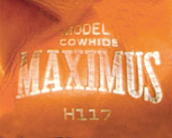 B.F. Goodrich - Maximus Brand Baseball Glove