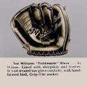 1959 Wilson A2115 Ted Williams Fielders Glove