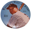 Sports Photo Associates Baseball Hall of Fame Photo Buttons & Checklist