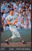 1968 Sports Illustrated poster baseball Cards