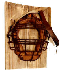 Barn wood mounted catchers mask