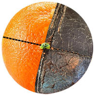 How Lemon Peel - Orange Peel Baseballs were Made