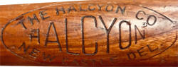 The Halcyon Co. Baseball Bat