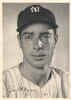 1949 New York Yankees Picture Pack photo of Joe DiMaggio