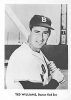 Boston Red Sox Jay Publishing Picture Pack Ted Williams
