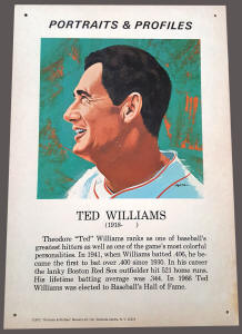 Ted Williams Barnell Loft Ltd Portraits & Profiles