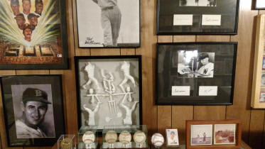 Ted Williams memorabilia collection display room