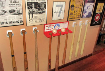 Little League Baseball Bat Collection