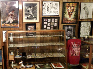 Ted William Baseball Memorabilia Collectors Showcase Room display