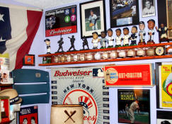 Autograph Baseball & Bobble Heads Collection Display