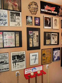Baseball Wall of Frame Collection Display