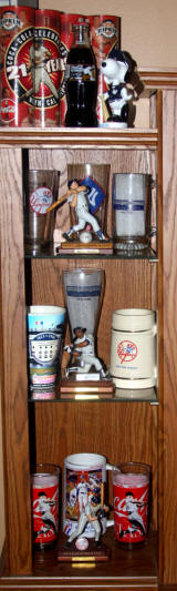 Book Case baseball memorabilia display