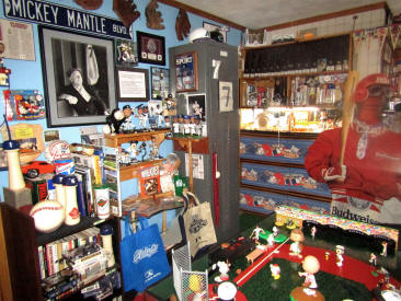 Collectors Showcase Room Display